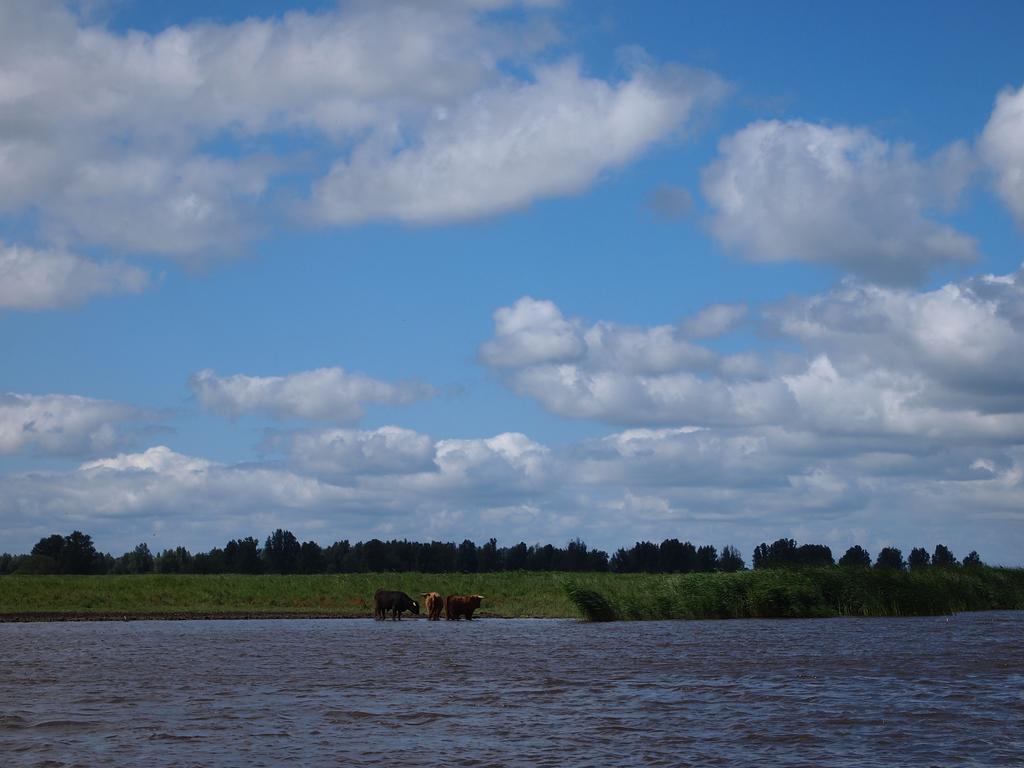 De Energiek Bed and Breakfast Wehe-den Hoorn Zewnętrze zdjęcie